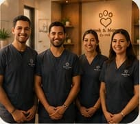 Experienced Team