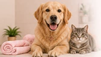 A golden retriever and a tabby cat sitting beside rolled pink spa towels